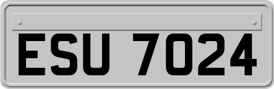 ESU7024