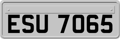 ESU7065