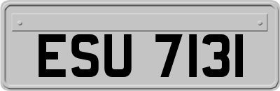 ESU7131