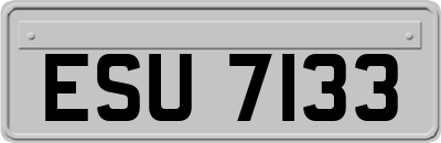 ESU7133