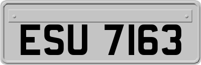 ESU7163