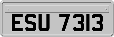 ESU7313