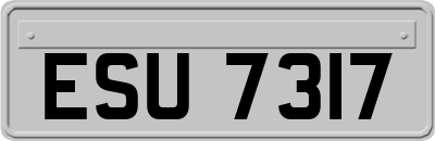 ESU7317