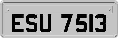 ESU7513