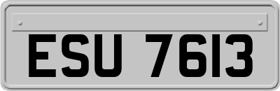 ESU7613