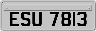ESU7813