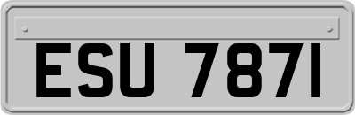 ESU7871