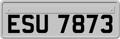 ESU7873