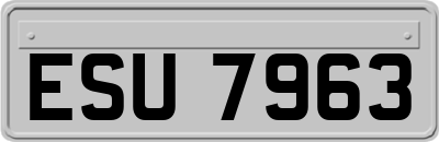ESU7963