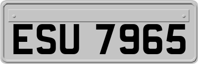 ESU7965