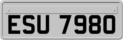 ESU7980