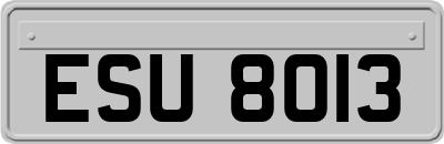 ESU8013