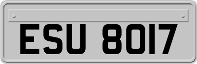ESU8017