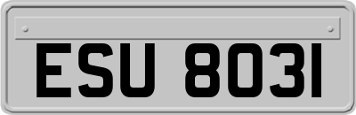 ESU8031