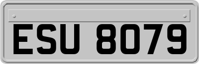 ESU8079