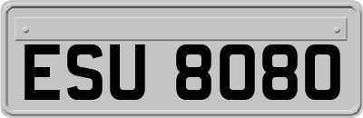 ESU8080