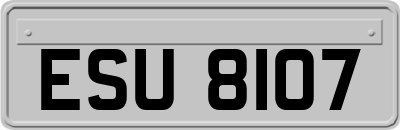 ESU8107