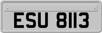 ESU8113