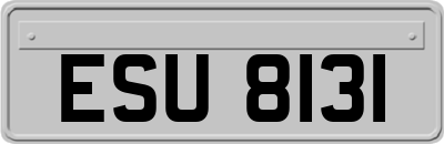 ESU8131