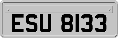 ESU8133