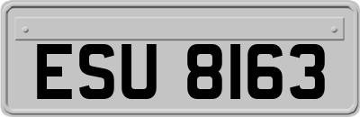 ESU8163