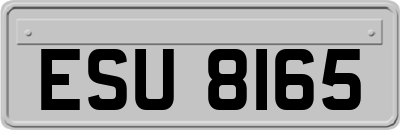 ESU8165