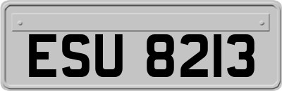 ESU8213
