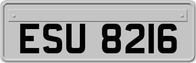 ESU8216