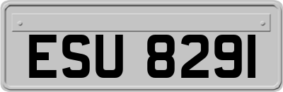 ESU8291