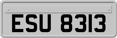 ESU8313