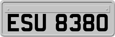ESU8380