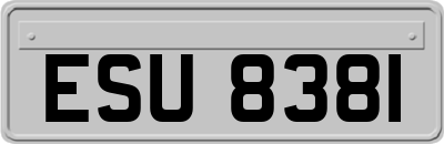 ESU8381