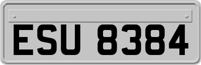 ESU8384