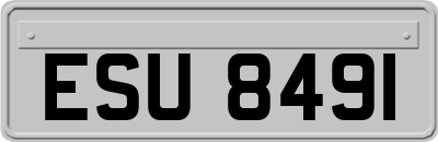 ESU8491
