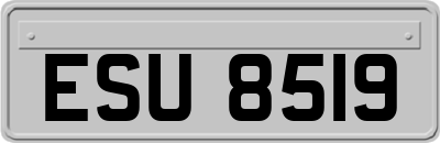 ESU8519