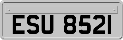 ESU8521