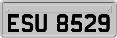 ESU8529