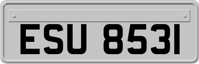 ESU8531