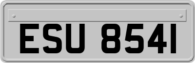 ESU8541
