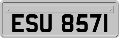 ESU8571