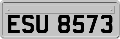 ESU8573