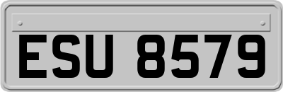 ESU8579