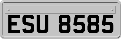 ESU8585