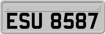 ESU8587