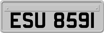 ESU8591