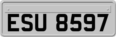 ESU8597