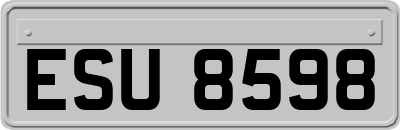 ESU8598