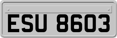ESU8603