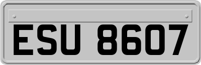 ESU8607