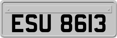 ESU8613